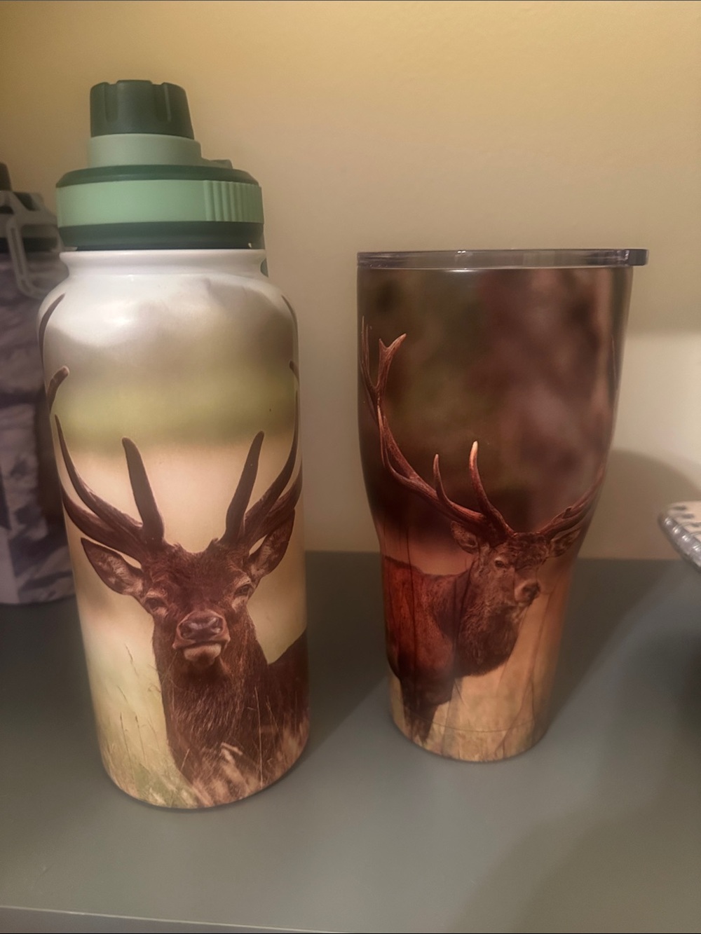 Deer Print Insulated Water Bottle and Tumbler Set - Green Accent